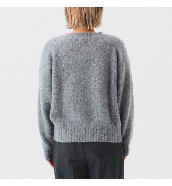 BEAMSBOY「【別注】Nor&rsquo;Easterly / シェットランド シャギー クルーネック 25FW」|ニット・セーター|