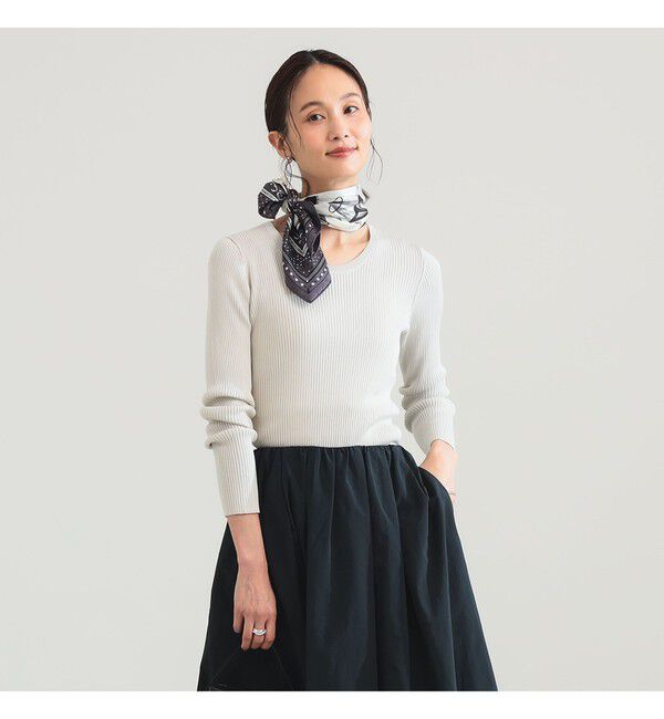 Demi-Luxe BEAMS 「14ゲージ ベーシック リブニット」|ニット・セーター|CREAM