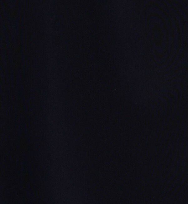 Ballsey「クリアデシン ボウタイブラウス」|シャツ・ブラウス|