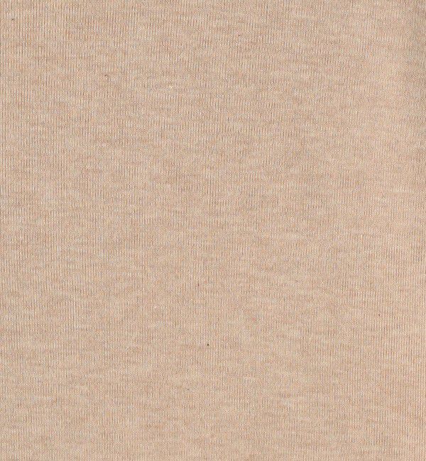 GALERIE VIE「コットンカシミヤジャージー クルーネックプルオーバー」|Tシャツ・カットソー|