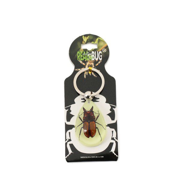 BEAMS「R/B_DROP_K/CHAIN」|その他|