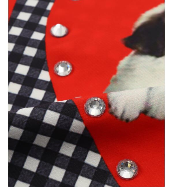 JOINT WORKS「Casselini/キャセリーニ Team DOUBUTSUトート」|トートバッグ|