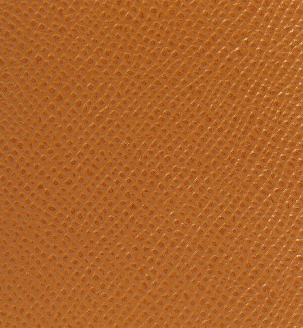 TOMORROWLAND GOODS「【別注】BROOKLYN MUSEUM シュリンクレザー ボトルケース」|その他|