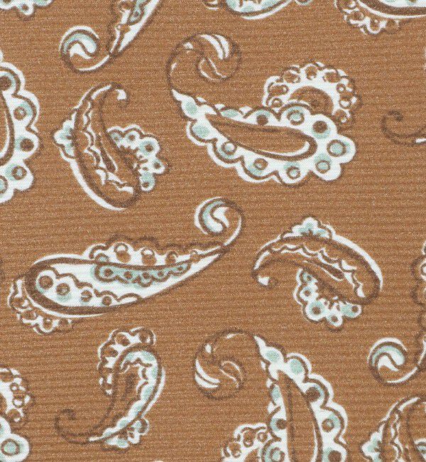 UNITED ARROWS「＜ERRICO FORMICOLA＞ペイズリー プリント ネクタイ」|ネクタイ・蝶ネクタイ|