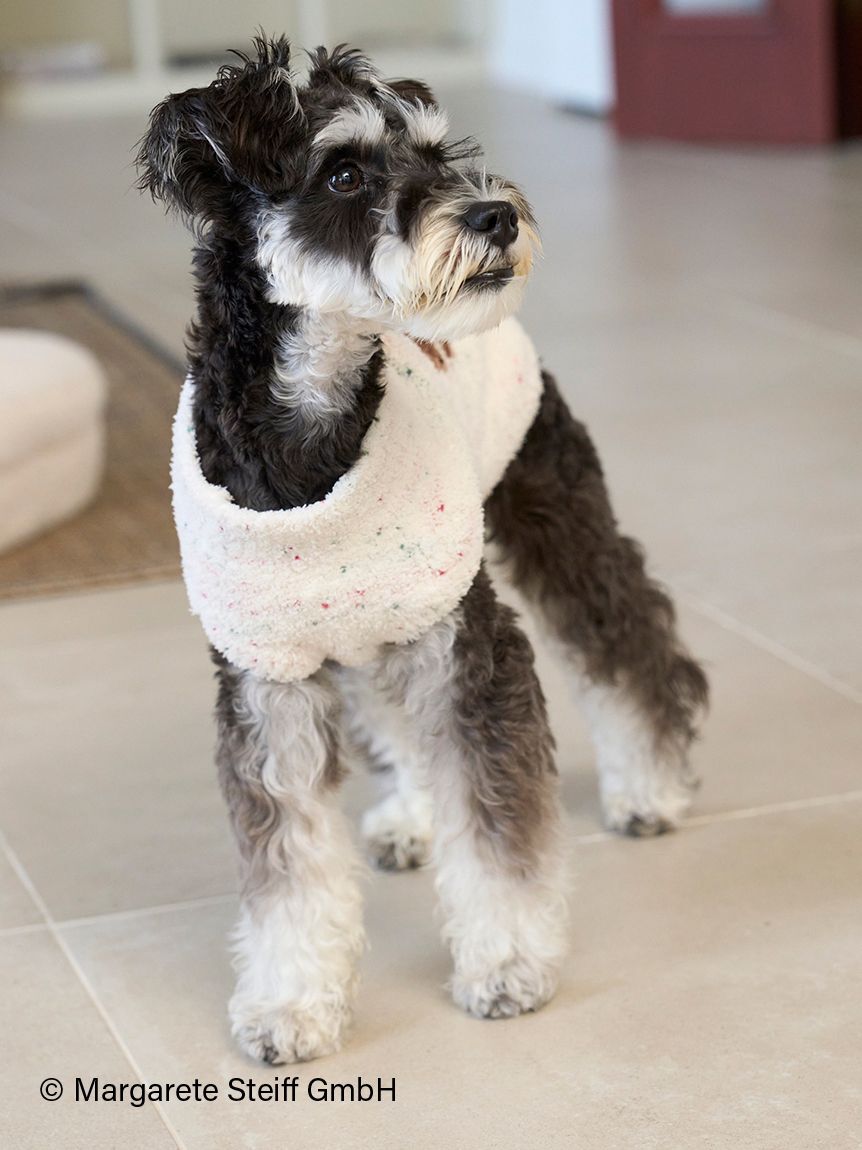  GELATO PIQUE CAT&DOG「【Steiff】【CAT&DOG】ハイネックプルオーバー」|その他|