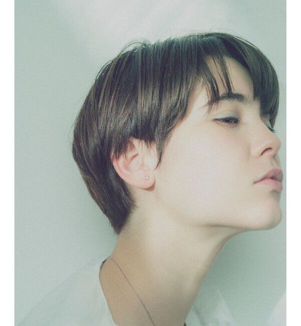 ete「PT900 ダイヤモンド 0.2ct ピアス「ブライト」」|ピアス|