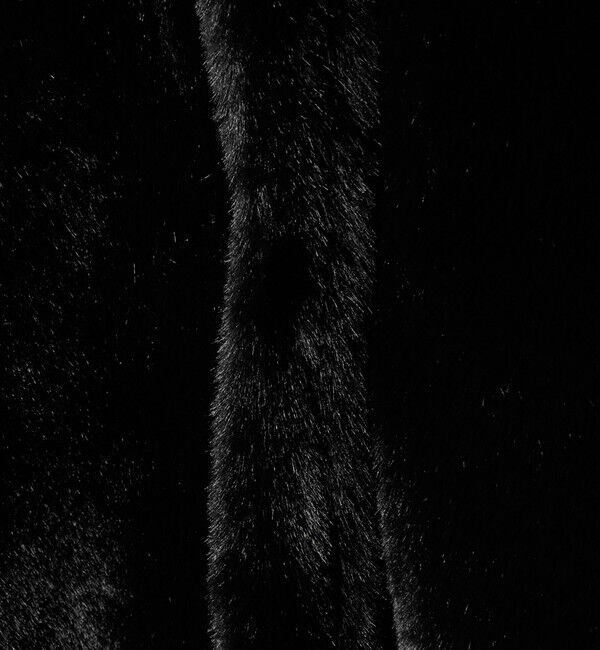 AEWEN MATOPH「＜AEWEN MATOPH＞フェイクファーショートコート」|その他|