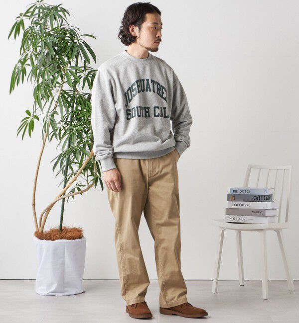 SHIPS any「【WEB限定】SHIPS any: NATIONAL PARK プリント スウェット 23AW◇」|スウェット・ジャージ|