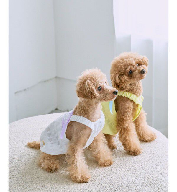 ROPE PICNIC PASSAGE「【DOG】【接触冷感】リボン付きキャミワンピース」|その他|