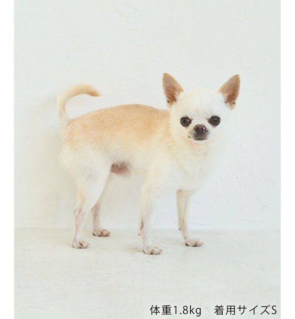 ROPE PICNIC PASSAGE「【DOG】【接触冷感】リボン付きキャミワンピース」|その他|