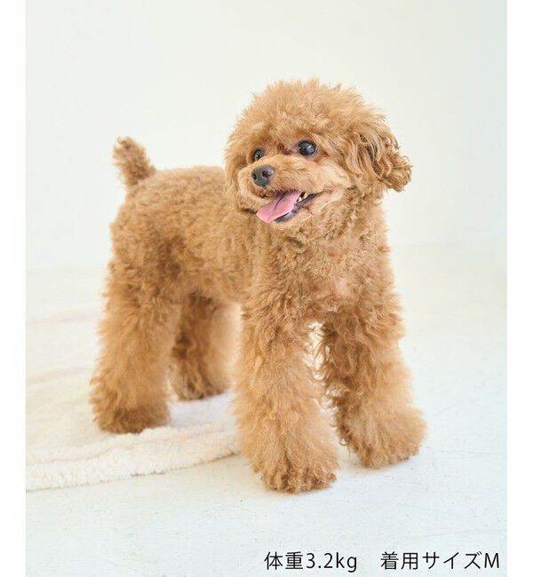 ROPE PICNIC PASSAGE「【DOG】【接触冷感】リボン付きキャミワンピース」|その他|