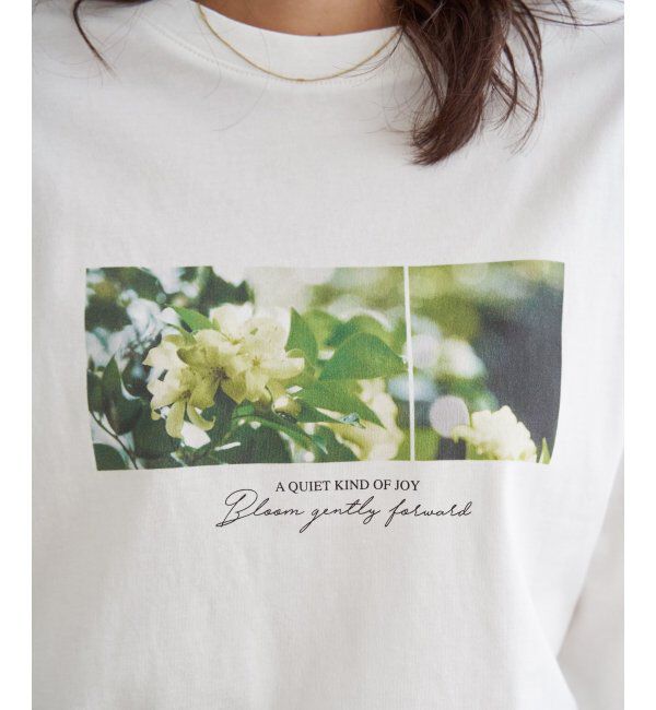 ikka「ロゴフォトプリントスウェットTシャツ」|Tシャツ・カットソー|