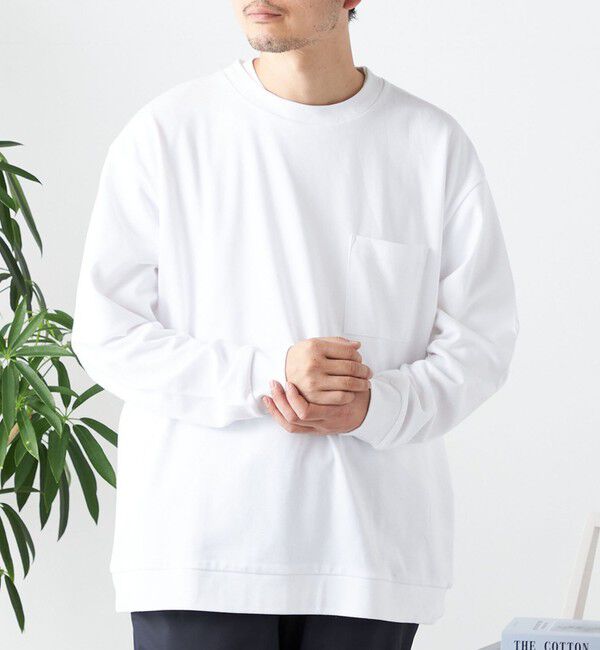 SHIPS any「SHIPS any: ソリッド / ボーダー スウェットライク Tシャツ (ロンT)◇」|Tシャツ・カットソー|ホワイト