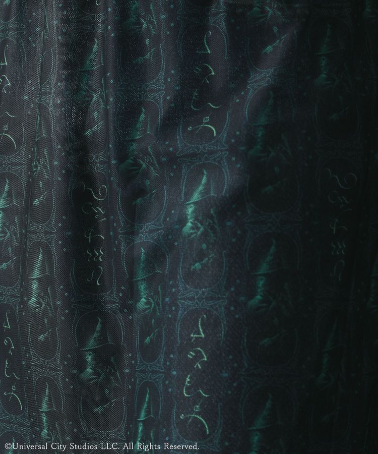 Green Parks「■WICKED パターンシアースカート」|タイト|