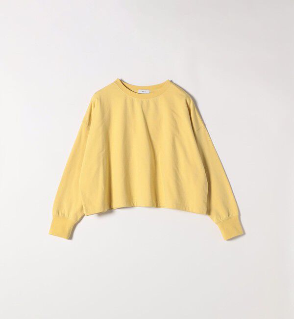 SHIPS any「SHIPS any:〈洗濯機可能〉インレイ ロングスリーブ コンパクト プルオーバー」|Tシャツ・カットソー|