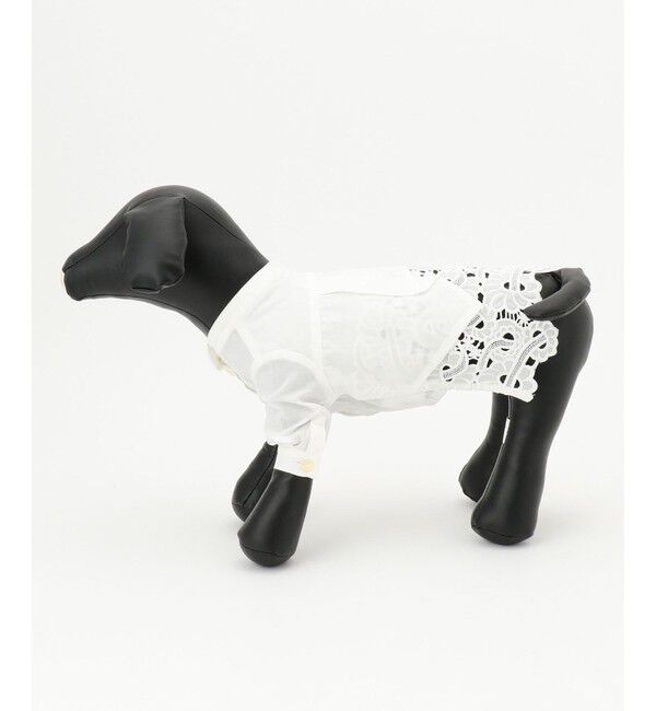  「DOGWEAR-トップ1」|その他|