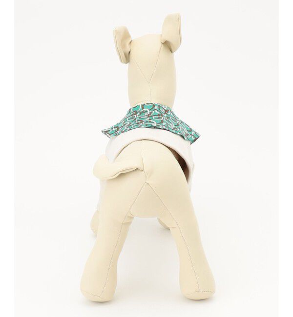 GRACE CONTINENTAL「Dog-TOP3 21AW」|その他|