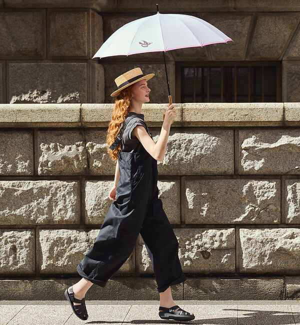 collex「サプリメント 12本骨 雨傘【assa】【WEB限定】」|傘|