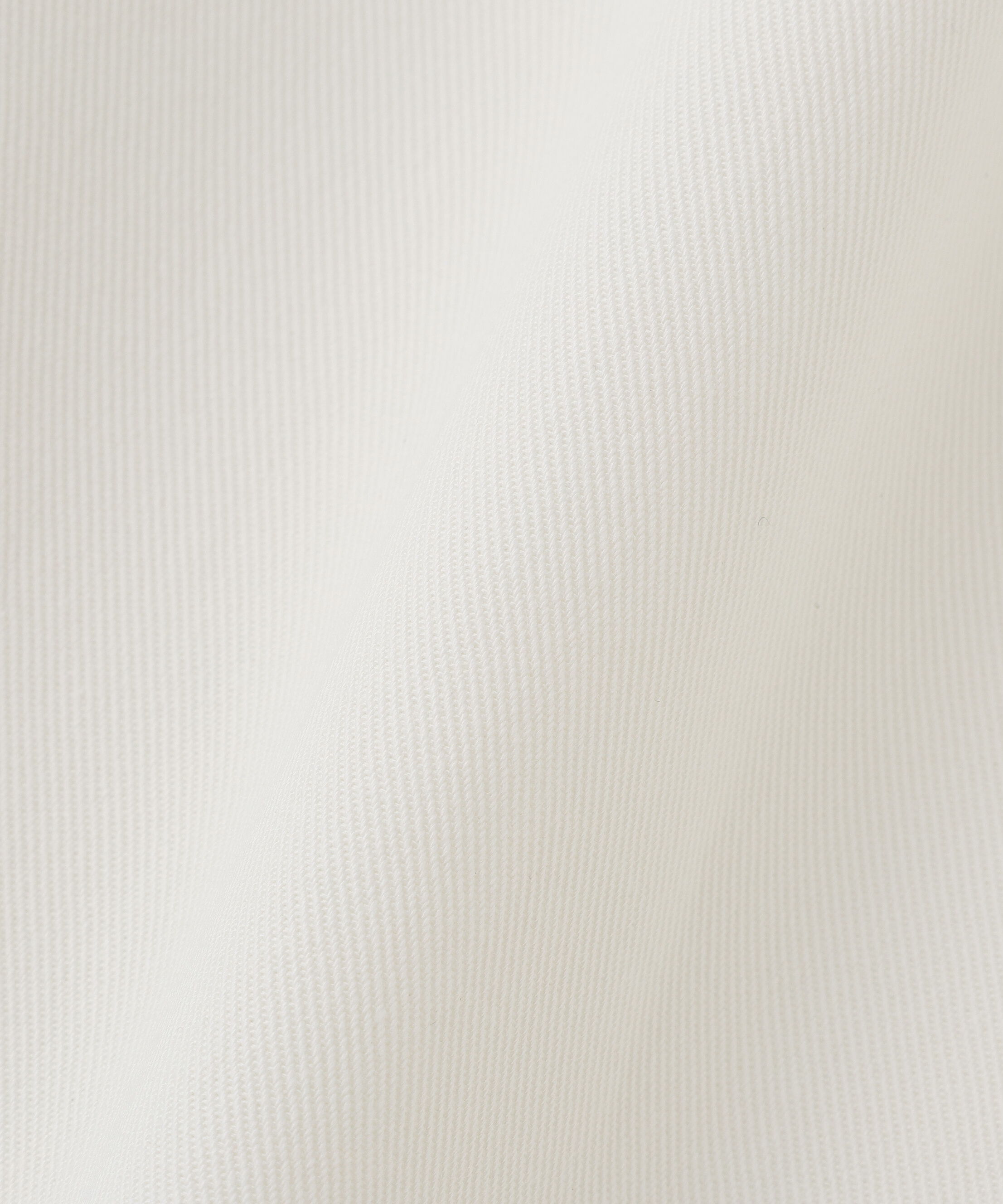 YLEVE 「Ｙ / ORGANIC COTTON / RECYCLE POLYESTER TWILL TAPERED EASY TROUSERS」|その他|