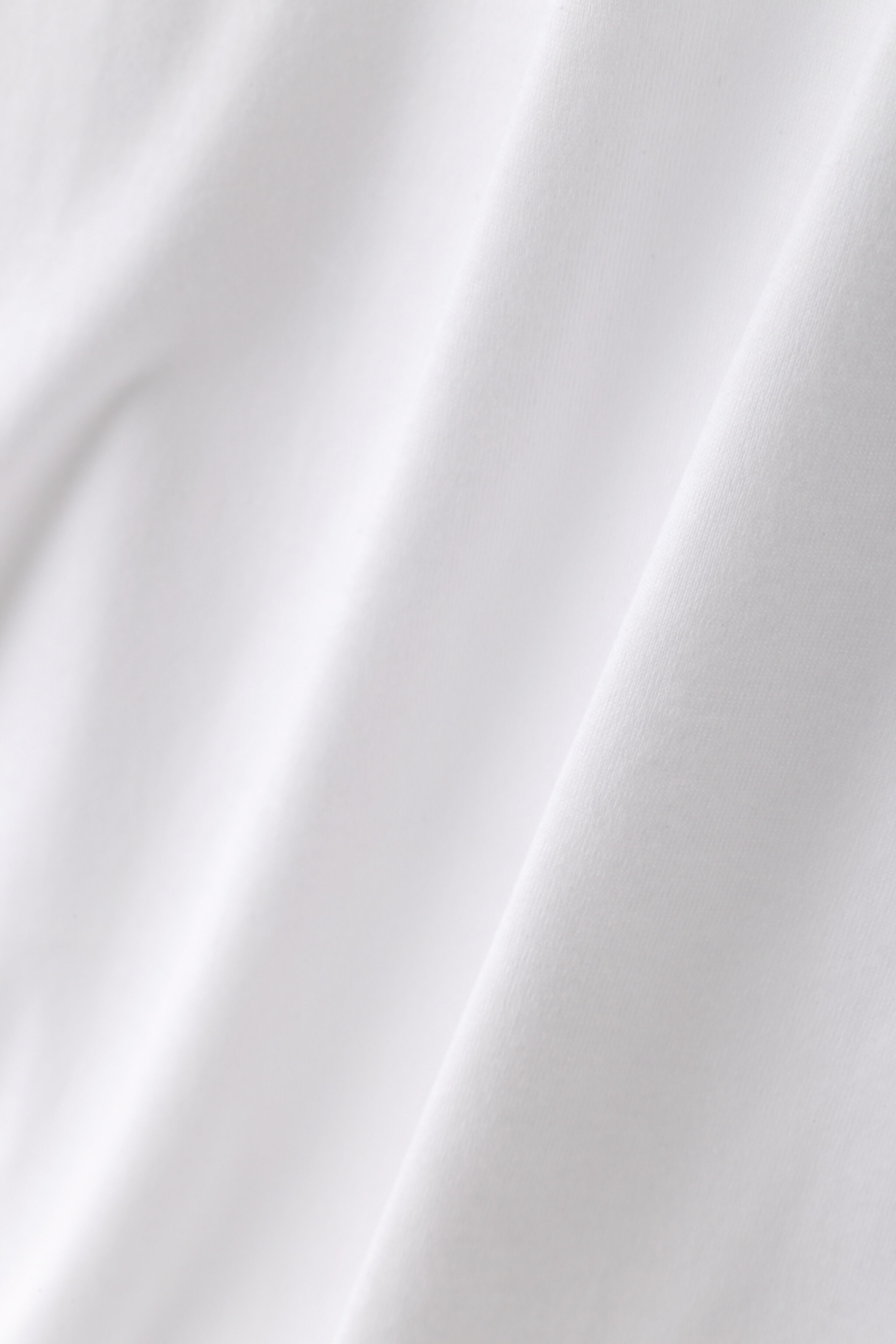 YLEVE 「YLEVE / SUVIN COTTON TURTLE」|Tシャツ・カットソー|