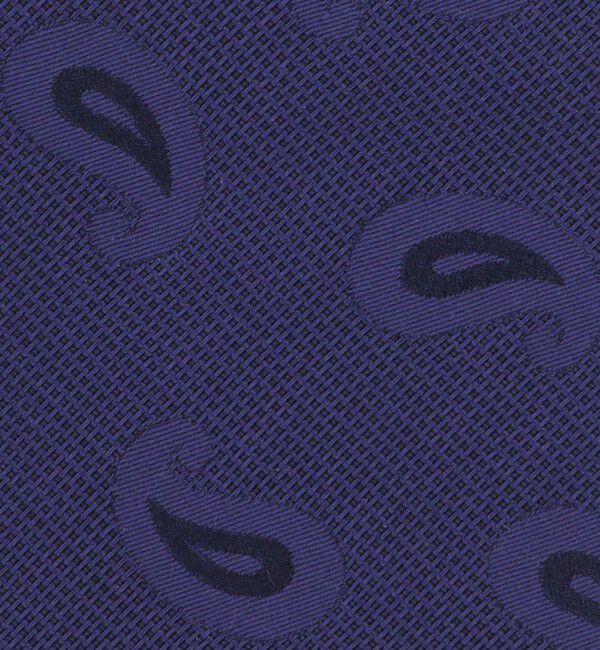 UNITED ARROWS「＜ERRICO FORMICOLA＞ペイズリー ジャガード ネクタイ」|ネクタイ・蝶ネクタイ|