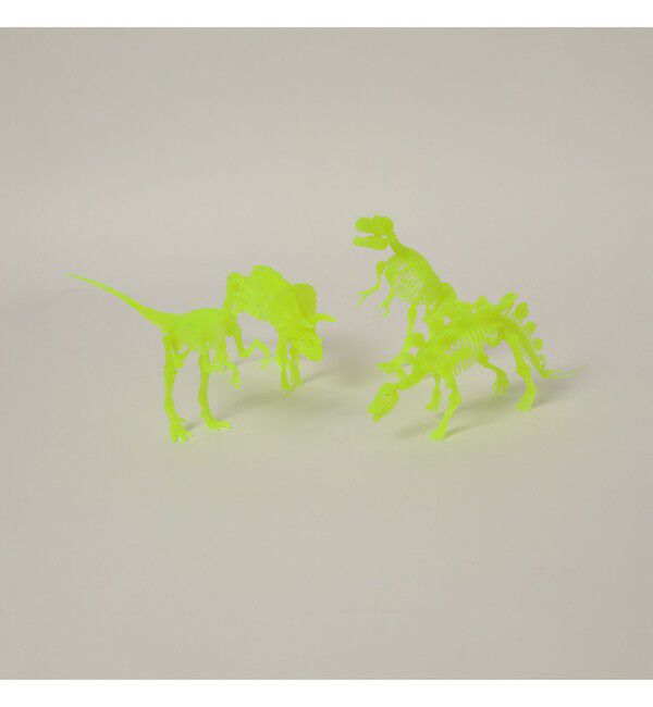 BEAMS「EOS TUBE SKELTON」|その他|