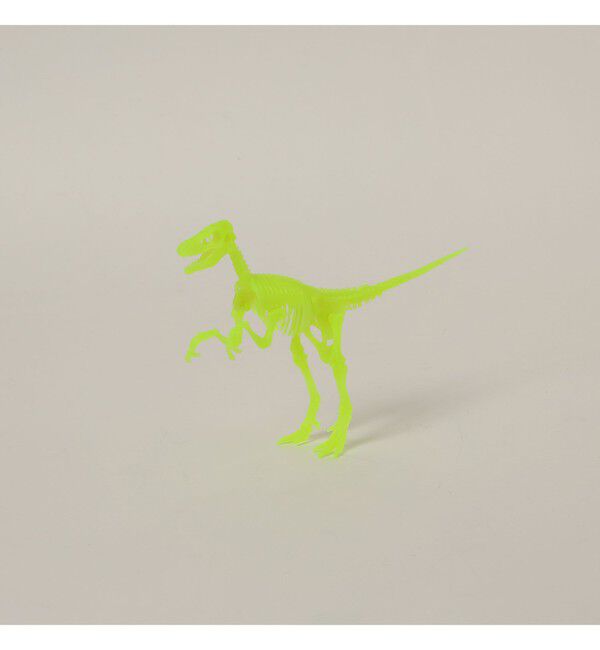 BEAMS「EOS TUBE SKELTON」|その他|VELOCIRAPTOR