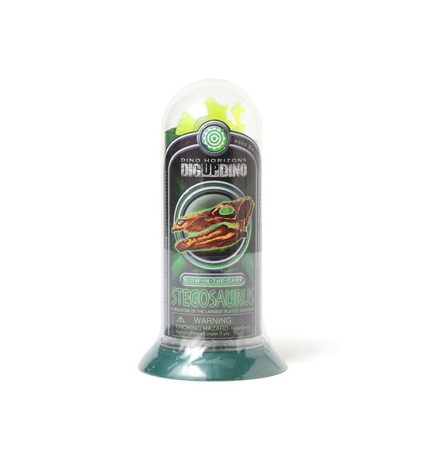 BEAMS「EOS TUBE SKELTON」|その他|