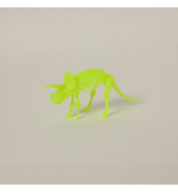 BEAMS「EOS TUBE SKELTON」|その他|TRICERATOPS