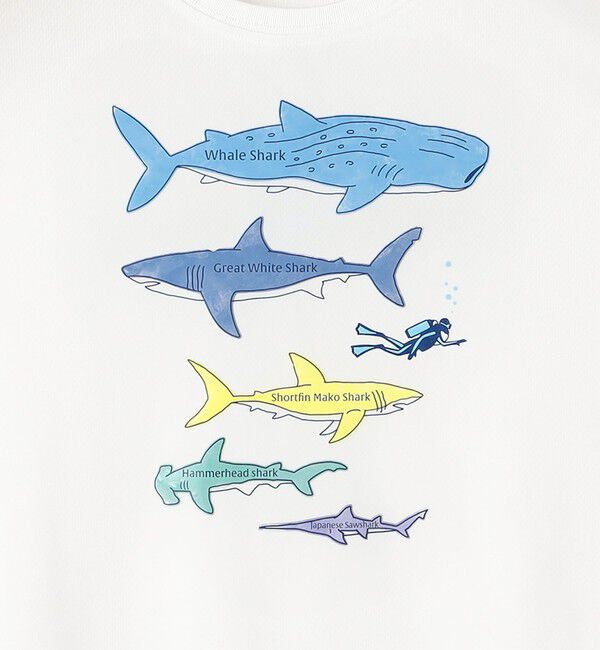 SHIPS KIDS「SHIPS KIDS:100c～130m /〈接触冷感/吸水速乾〉シャーク フリーク TEE」|Tシャツ・カットソー|