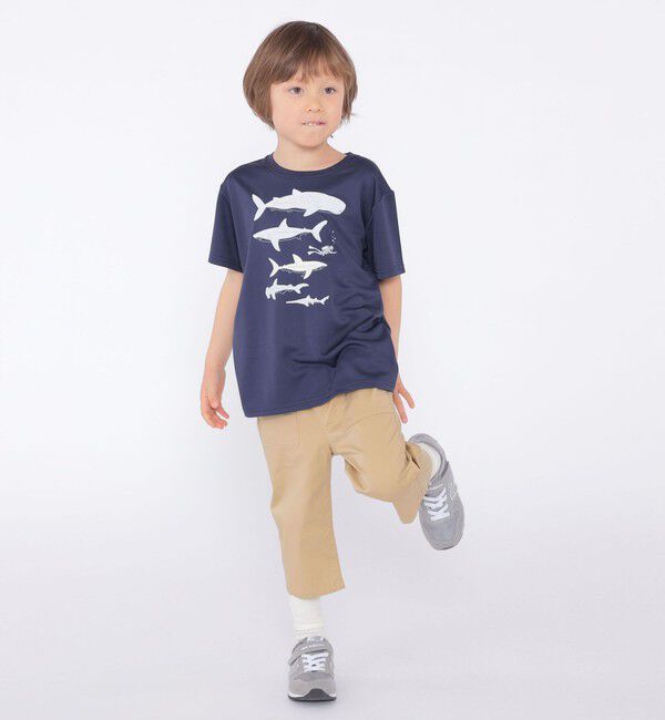 SHIPS KIDS「SHIPS KIDS:100c～130m /〈接触冷感/吸水速乾〉シャーク フリーク TEE」|Tシャツ・カットソー|
