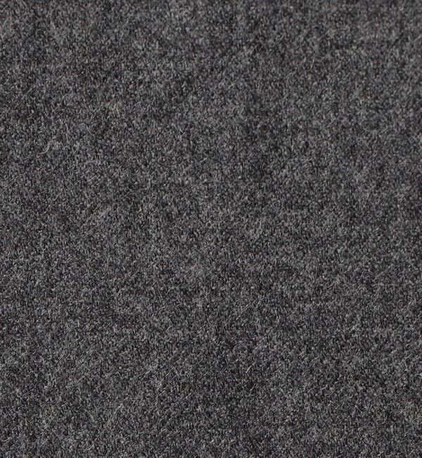 GALERIE VIE「ライトフラノストレッチ スタンドカラーシャツ」|シャツ・ブラウス|