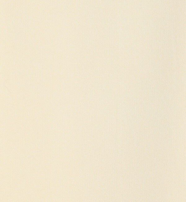 DES PRES「レーヨンナイロンダブルフェイス Aラインミディスカート」|台形|