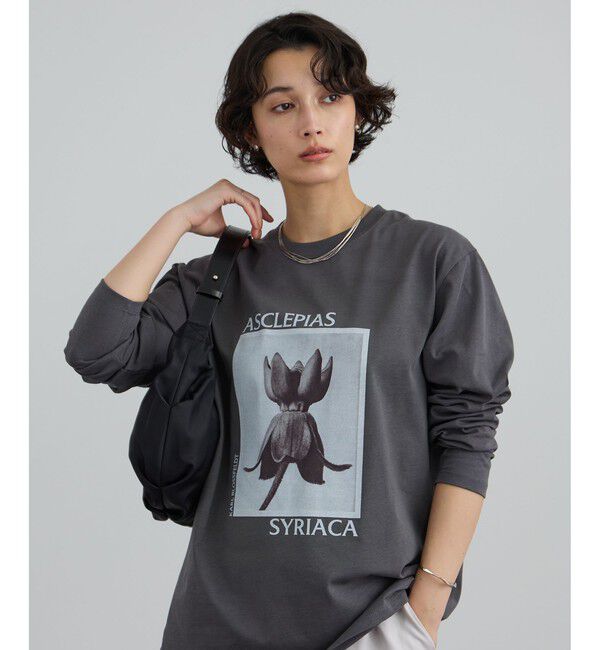 SALON adam et rope'「【KARL BLOSSFELDT  by SALON】フォトロングスリーブTシャツ」|Tシャツ・カットソー|チャコール(06)
