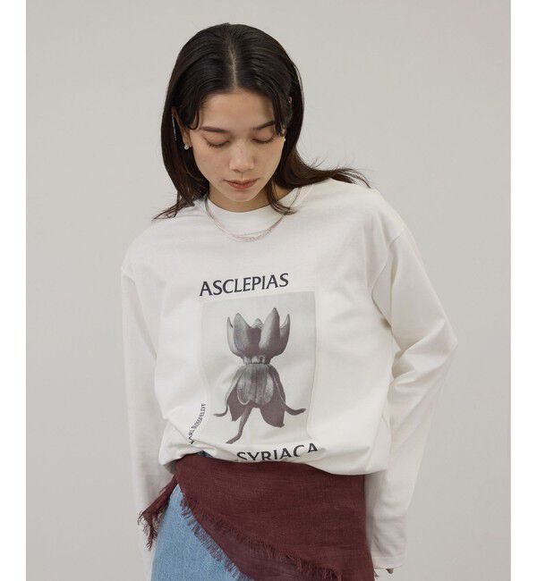 SALON adam et rope'「【KARL BLOSSFELDT  by SALON】フォトロングスリーブTシャツ」|Tシャツ・カットソー|