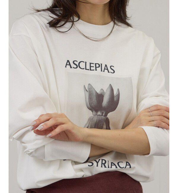 SALON adam et rope'「【KARL BLOSSFELDT  by SALON】フォトロングスリーブTシャツ」|Tシャツ・カットソー|