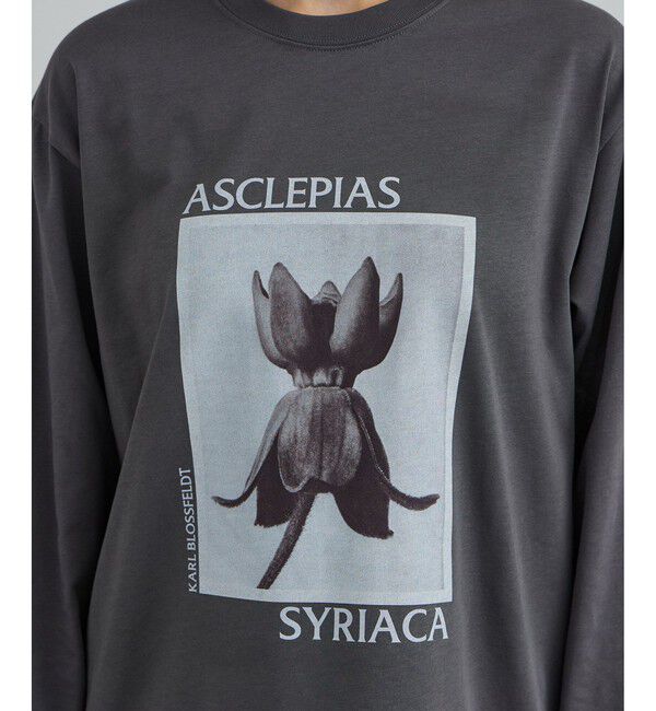SALON adam et rope'「【KARL BLOSSFELDT  by SALON】フォトロングスリーブTシャツ」|Tシャツ・カットソー|