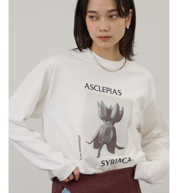 SALON adam et rope'「【KARL BLOSSFELDT  by SALON】フォトロングスリーブTシャツ」|Tシャツ・カットソー|ホワイト(10)