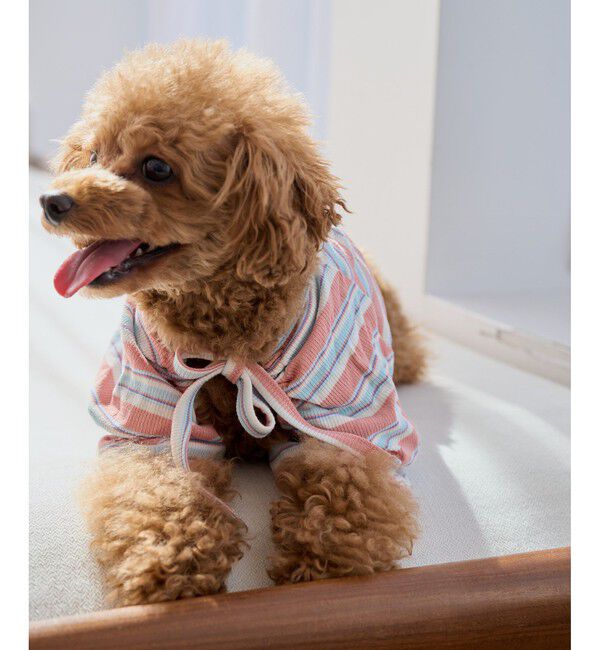 ROPE PICNIC PASSAGE「【DOG】マルチボーダーリブボレロ」|その他|