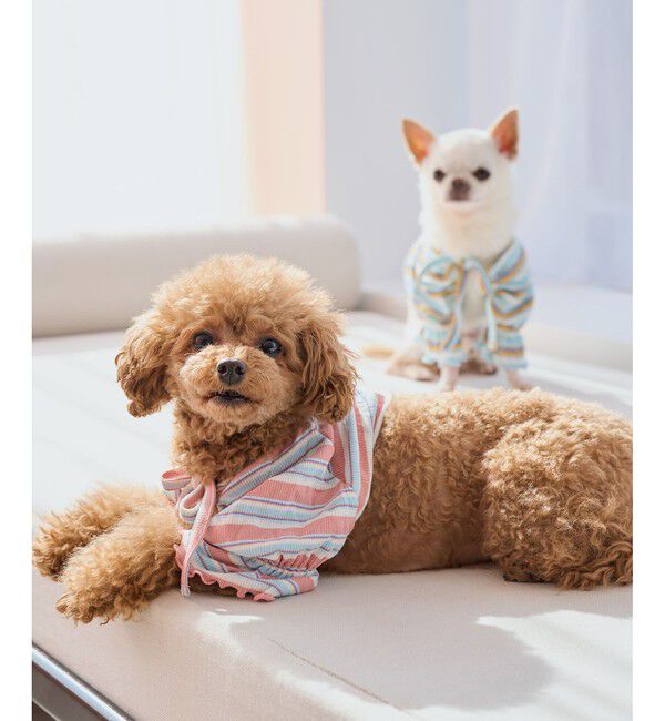 ROPE PICNIC PASSAGE「【DOG】マルチボーダーリブボレロ」|その他|