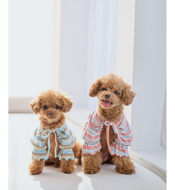 ROPE PICNIC PASSAGE「【DOG】マルチボーダーリブボレロ」|その他|