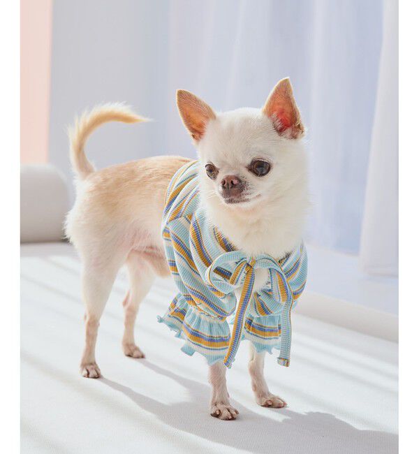 ROPE PICNIC PASSAGE「【DOG】マルチボーダーリブボレロ」|その他|