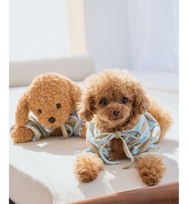 ROPE PICNIC PASSAGE「【DOG】マルチボーダーリブボレロ」|その他|