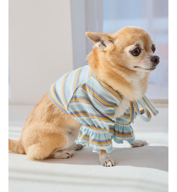 ROPE PICNIC PASSAGE「【DOG】マルチボーダーリブボレロ」|その他|