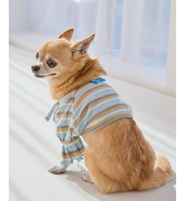 ROPE PICNIC PASSAGE「【DOG】マルチボーダーリブボレロ」|その他|