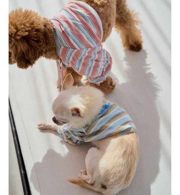 ROPE PICNIC PASSAGE「【DOG】マルチボーダーリブボレロ」|その他|