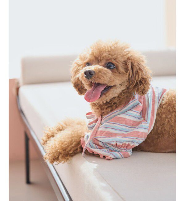 ROPE PICNIC PASSAGE「【DOG】マルチボーダーリブボレロ」|その他|ピンク