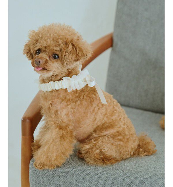 ROPE PICNIC PASSAGE「【DOG】チュールスタイ」|その他|