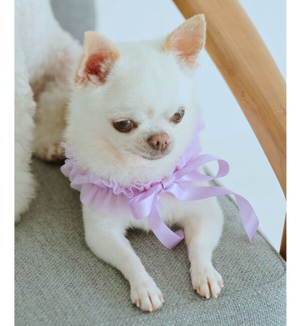 ROPE PICNIC PASSAGE「【DOG】チュールスタイ」|その他|ラベンダー系(53)