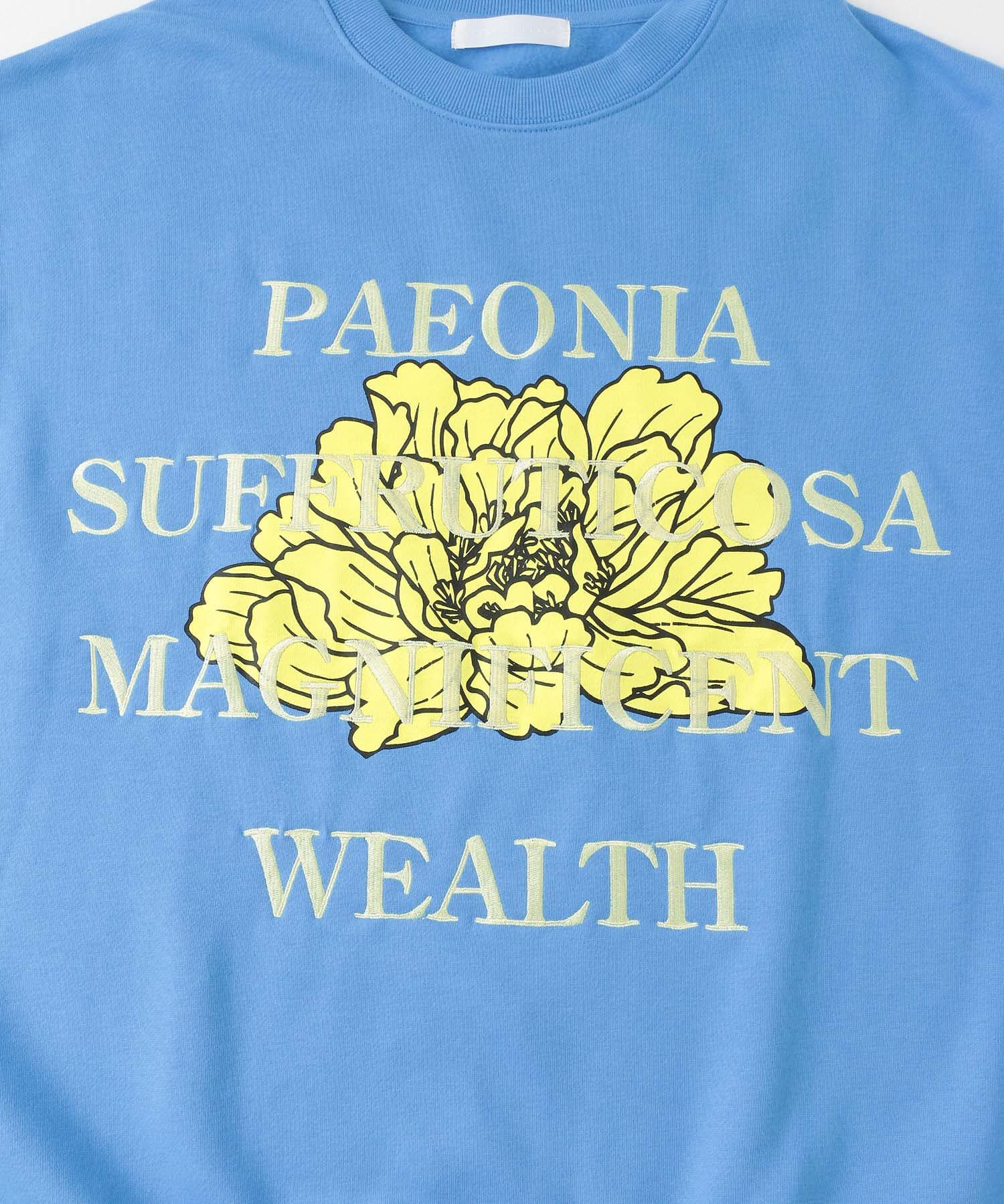 SENSE OF PLACE by URBAN RESEARCH「ボタニカルグラフィッククルーネックスウェット」|スウェット・ジャージ|